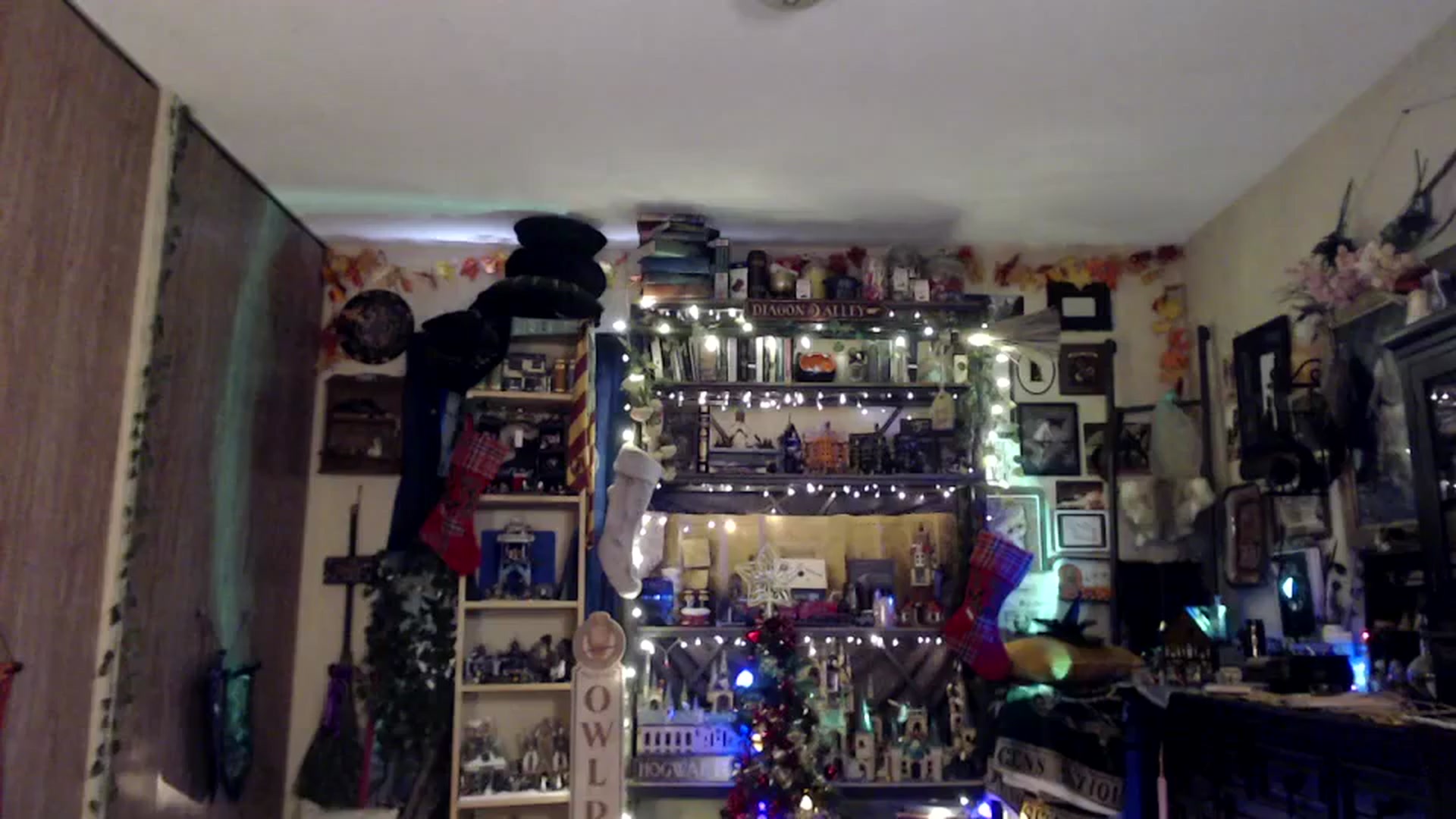 Gallery image thumbnail from Ancored's myfreecams stream on, 12/19/2024, 20:03 image 18 of 20