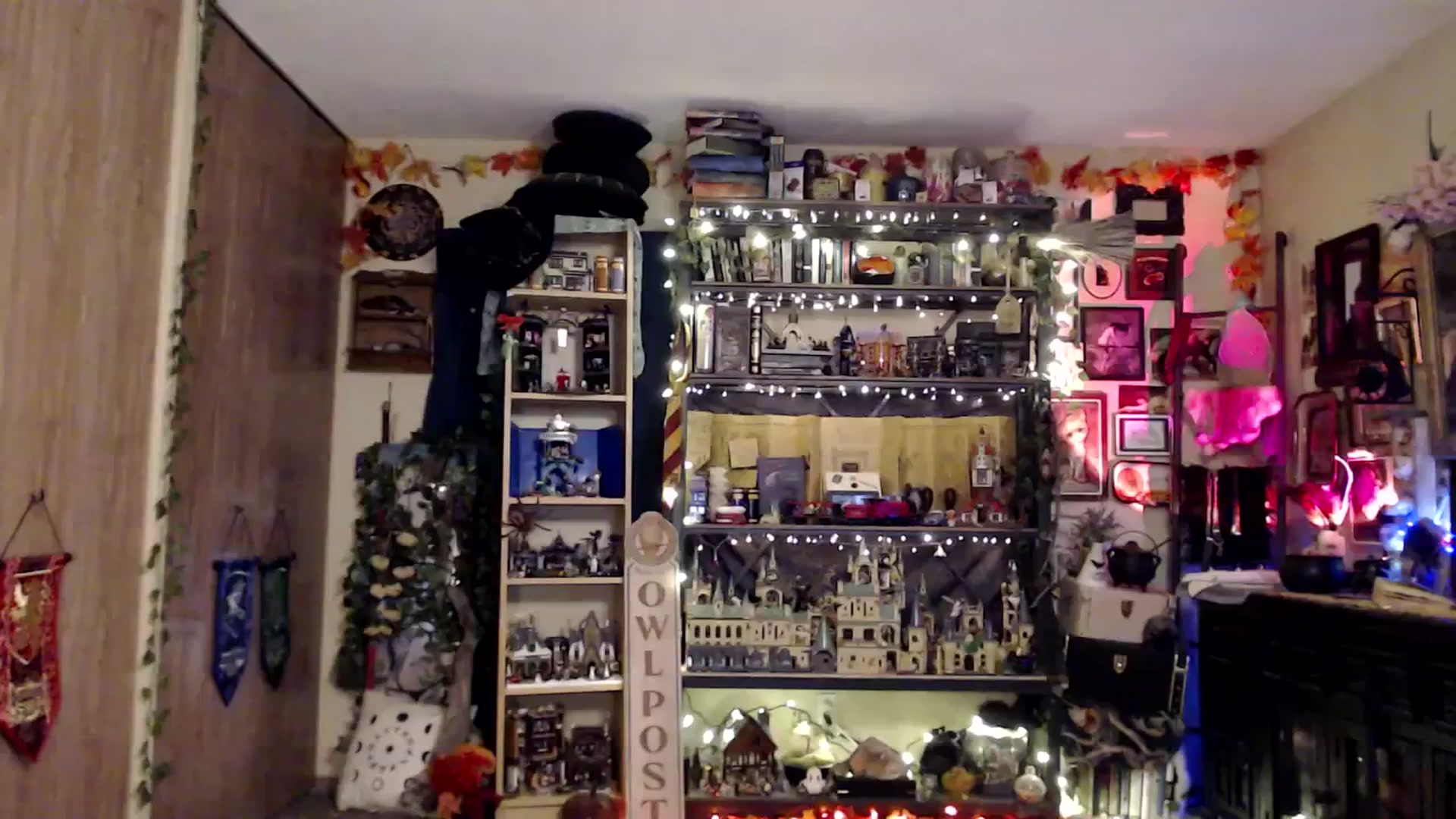 Gallery image thumbnail from Ancored's myfreecams stream on, 03/20/2025, 01:55 image 11 of 20