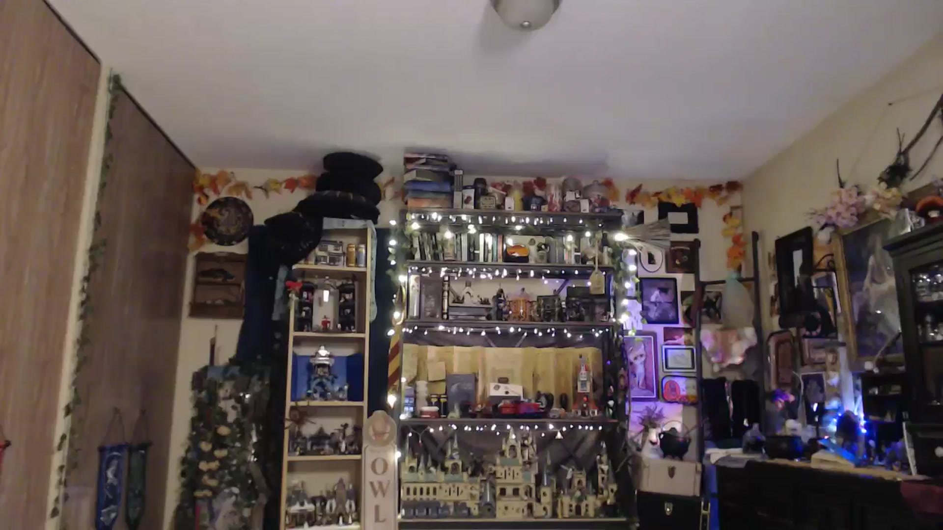 Gallery image thumbnail from Ancored's myfreecams stream on, 04/05/2025, 01:43 image 19 of 20