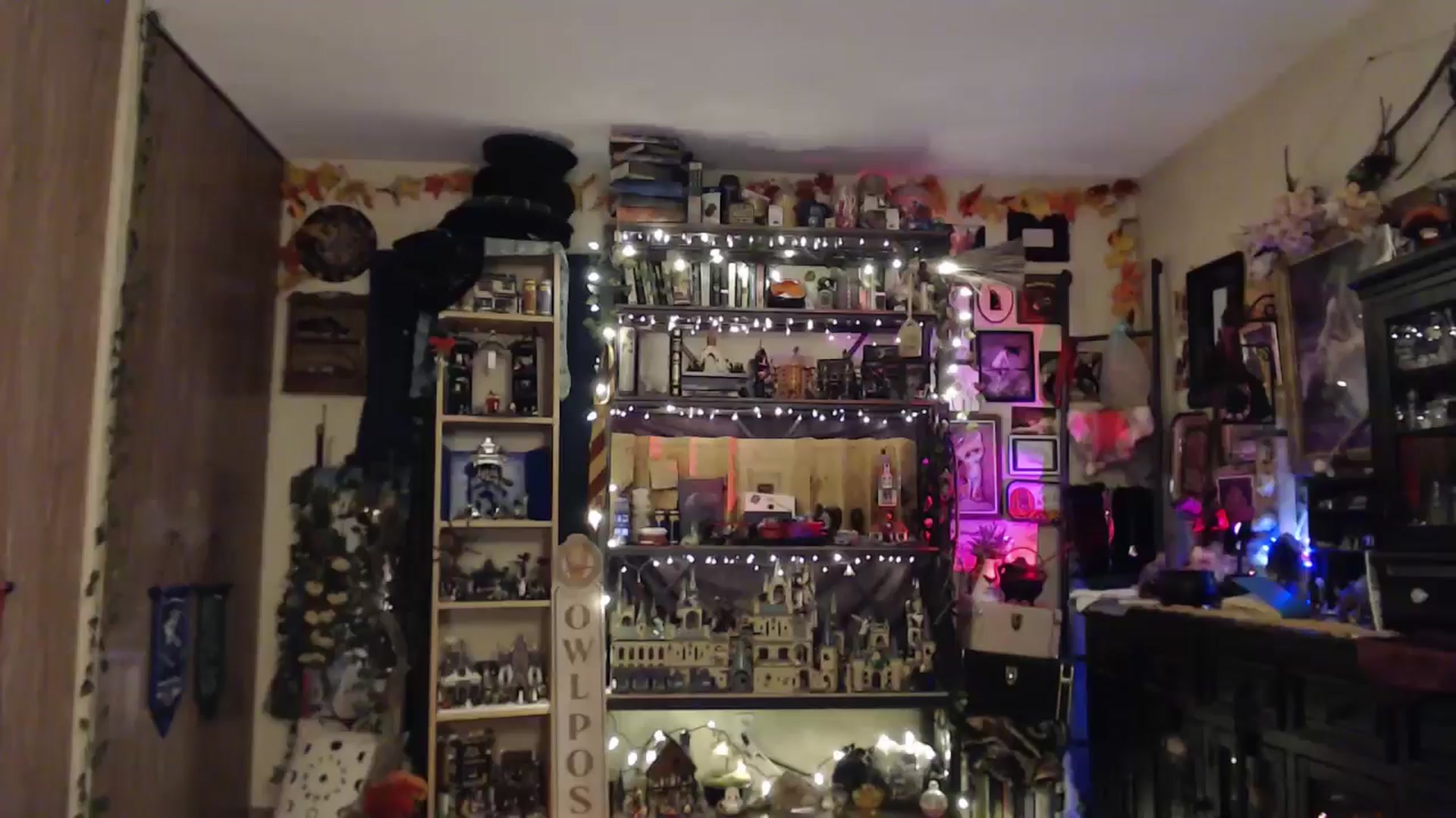 Gallery image thumbnail from Ancored's myfreecams stream on, 04/09/2025, 02:31 image 9 of 20