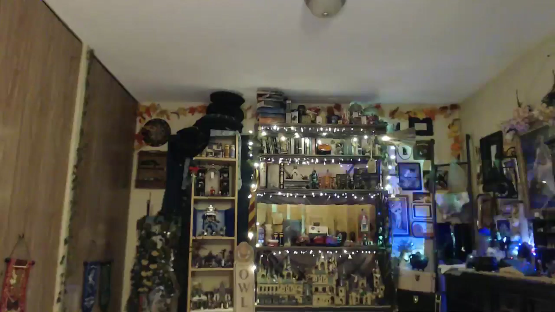 Gallery image thumbnail from Ancored's myfreecams stream on, 04/11/2025, 04:03 image 13 of 20
