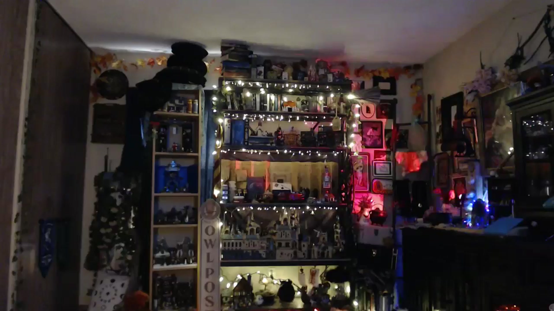 Gallery image thumbnail from Ancored's myfreecams stream on, 04/21/2025, 24:10 image 15 of 20