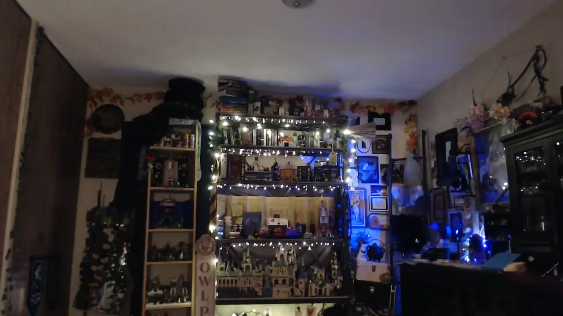 Gallery image thumbnail from Ancored's myfreecams stream on, 04/21/2025, 02:25 image 17 of 20
