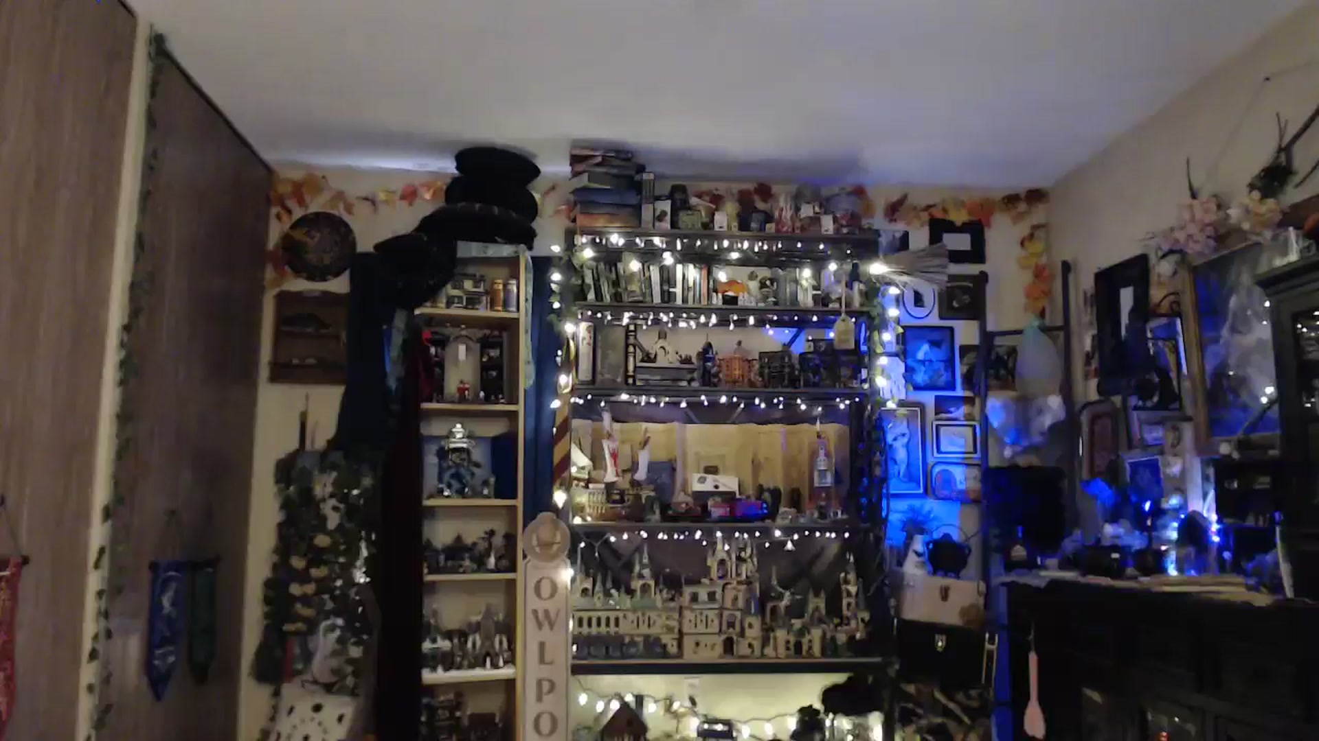 Gallery image thumbnail from Ancored's myfreecams stream on, 05/11/2025, 23:51 image 15 of 20