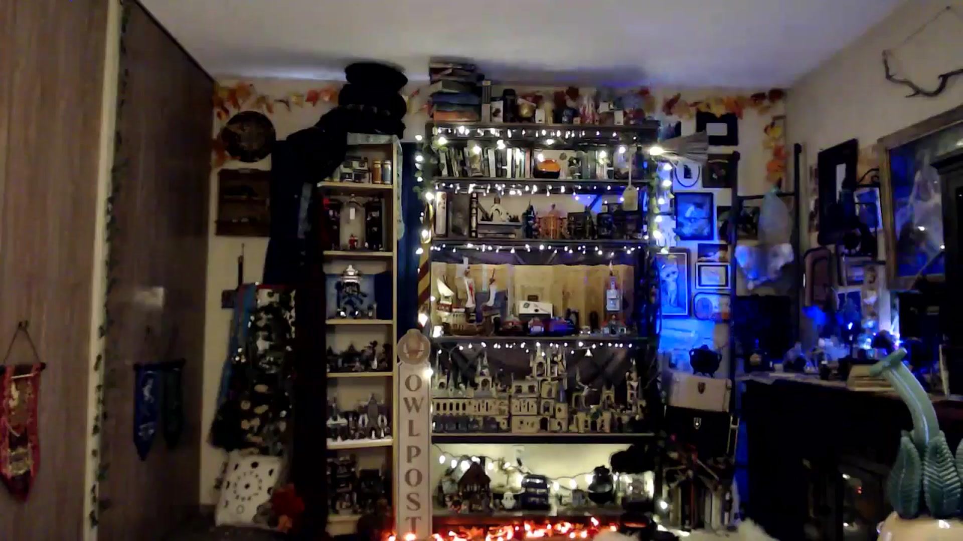 Gallery image thumbnail from Ancored's myfreecams stream on, 05/24/2025, 01:54 image 10 of 20