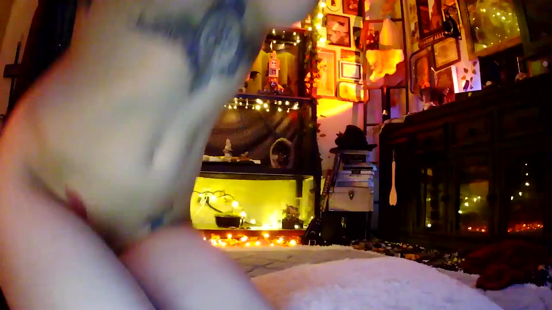Gallery image thumbnail from Ancored's myfreecams stream on, 05/30/2025, 02:04 image 12 of 20
