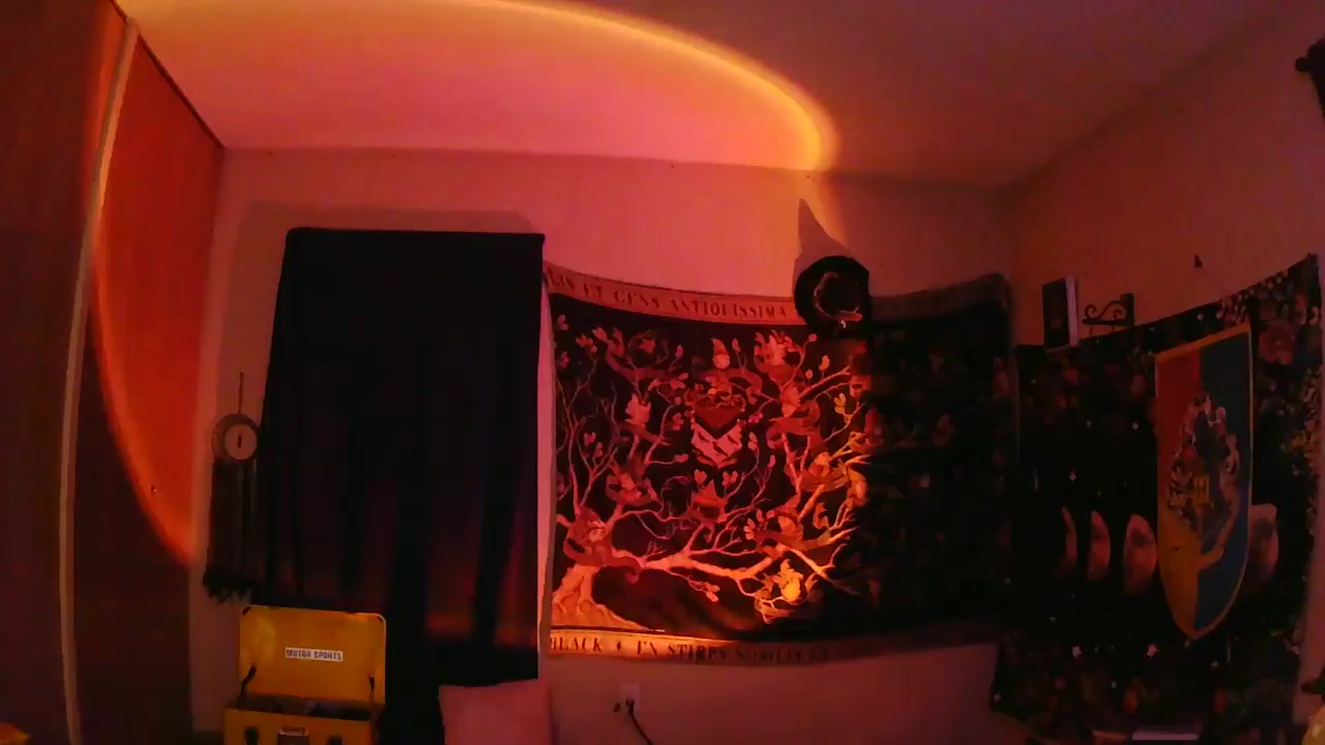 Gallery image thumbnail from Ancored's myfreecams stream on, 06/08/2025, 02:47 image 19 of 20
