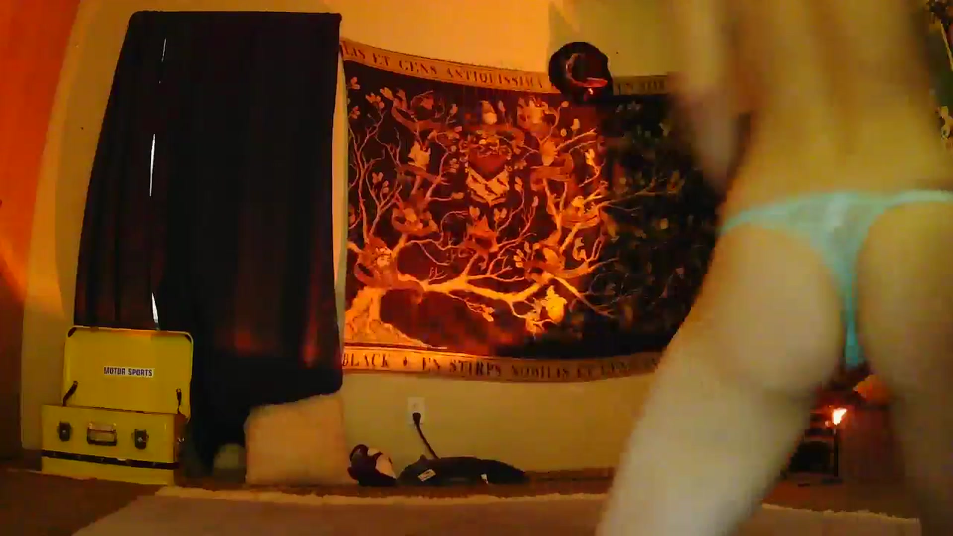 Gallery image thumbnail from Ancored's myfreecams stream on, 06/09/2025, 02:24 image 16 of 20
