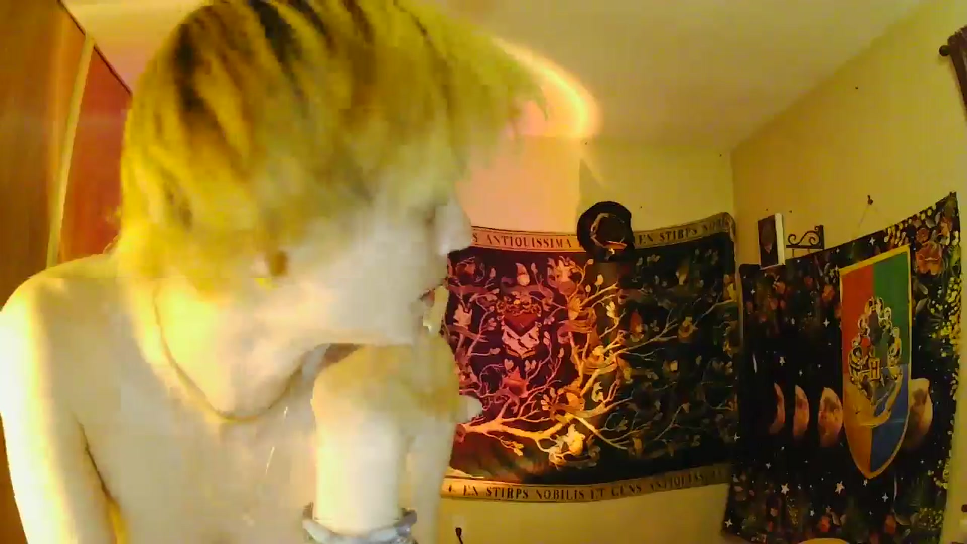 Gallery image thumbnail from Ancored's myfreecams stream on, 06/10/2025, 24:02 image 4 of 20