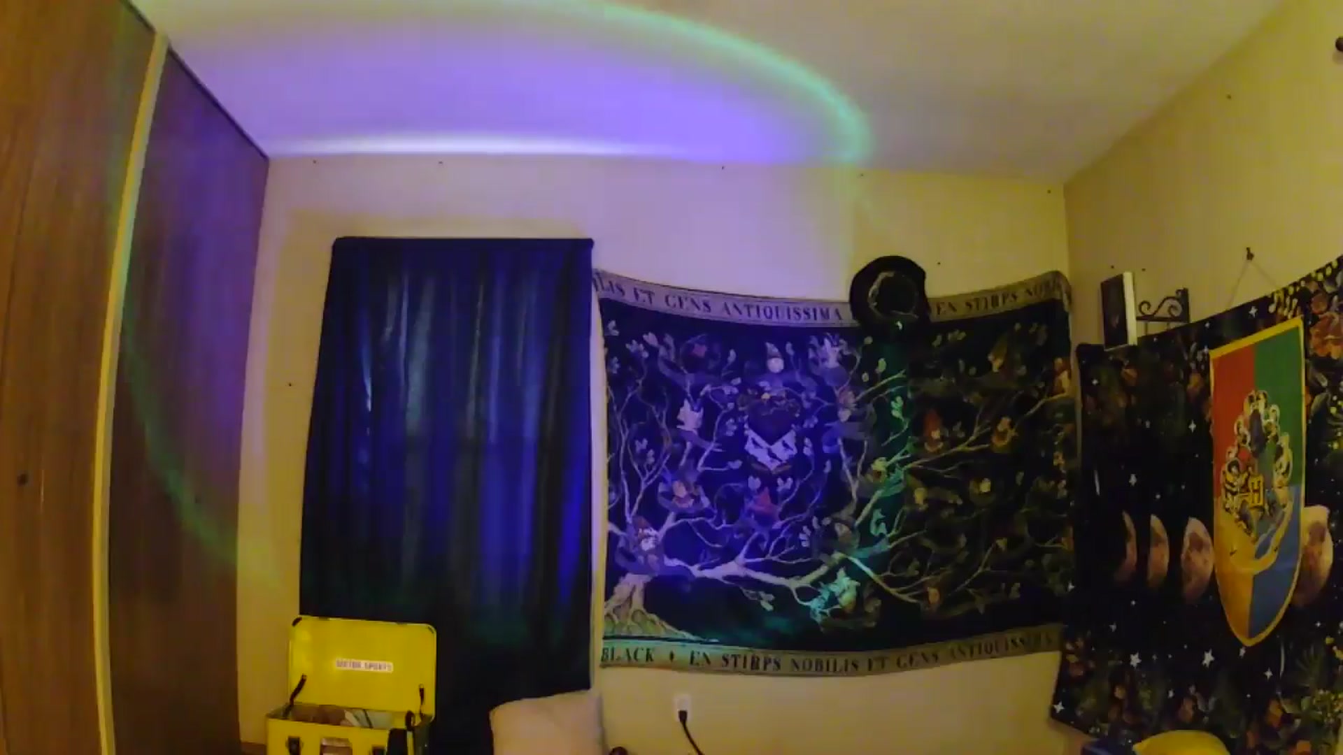 Gallery image thumbnail from Ancored's myfreecams stream on, 06/10/2025, 01:48 image 15 of 20