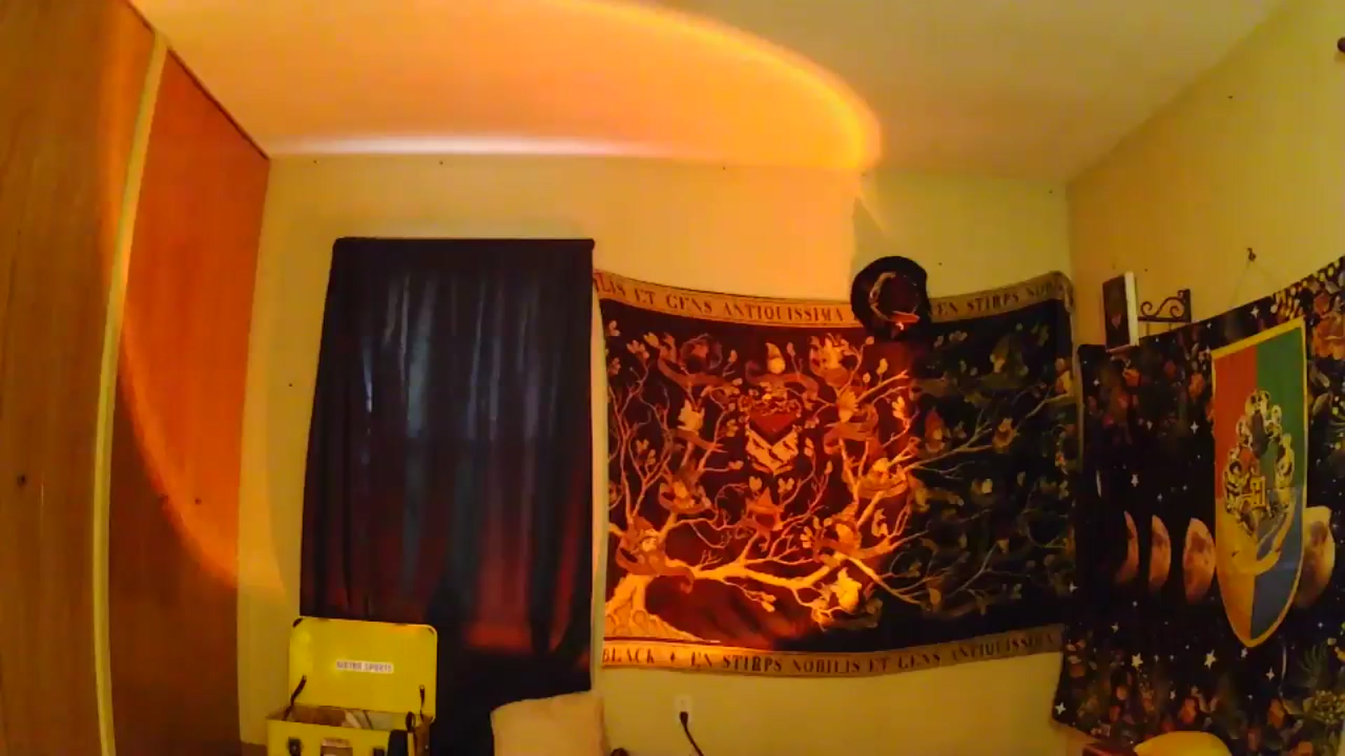 Gallery image thumbnail from Ancored's myfreecams stream on, 06/10/2025, 01:48 image 16 of 20