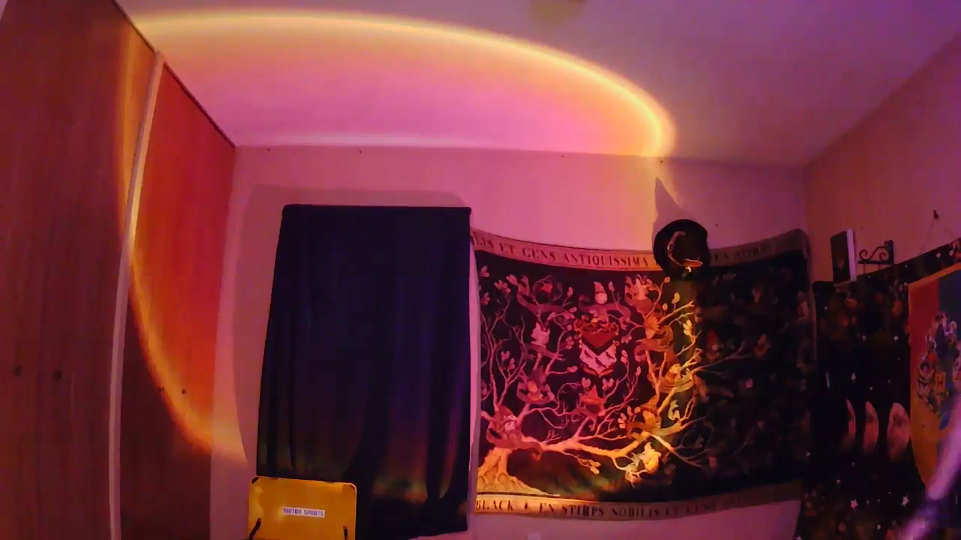 Gallery image thumbnail from Ancored's myfreecams stream on, 06/11/2025, 02:14 image 3 of 20