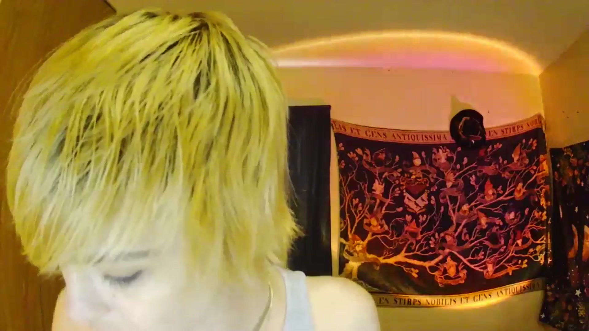 Gallery image thumbnail from Ancored's myfreecams stream on, 06/13/2025, 02:02 image 3 of 20
