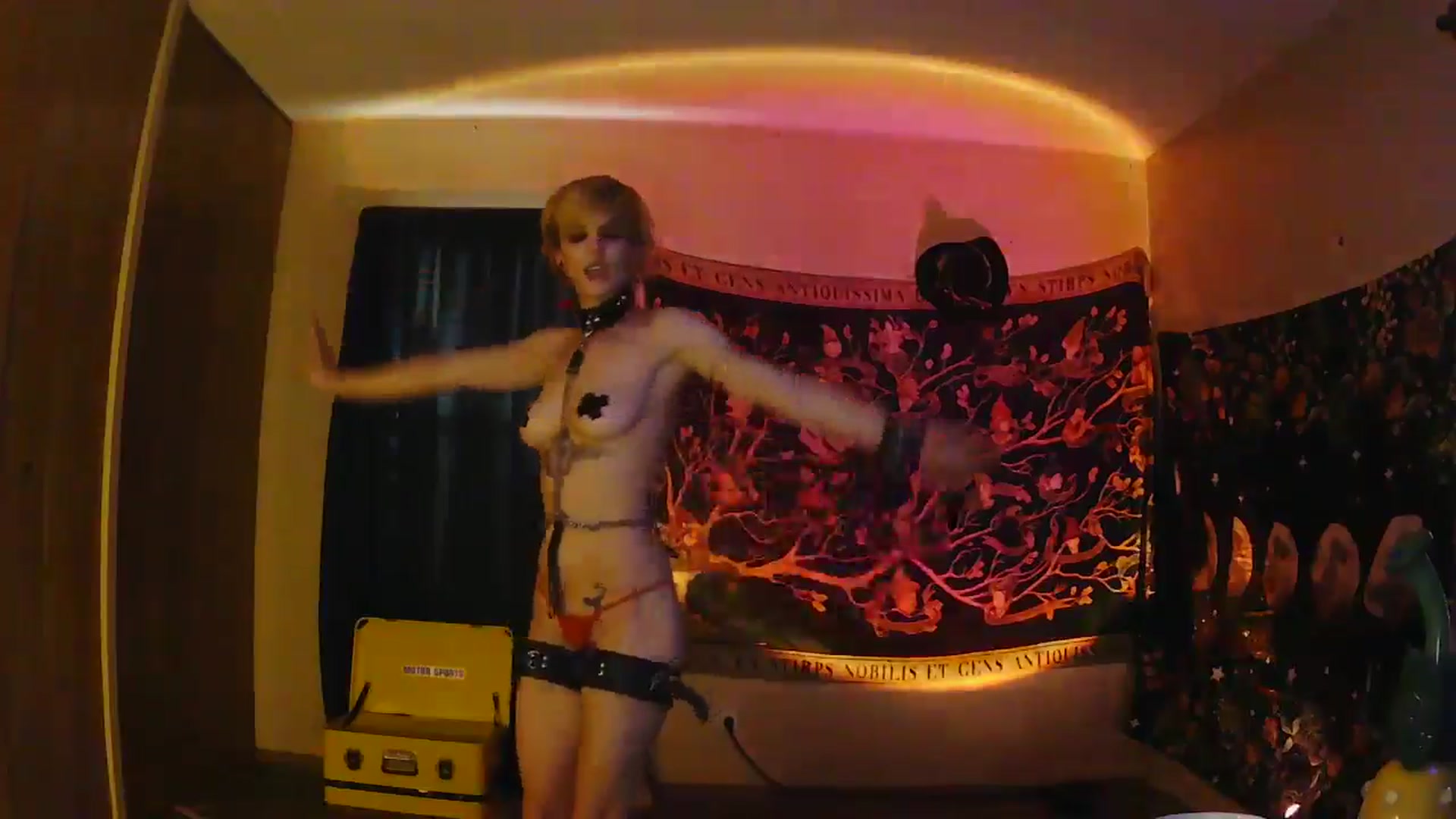 Gallery image thumbnail from Ancored's myfreecams stream on, 06/15/2025, 02:38 image 13 of 20