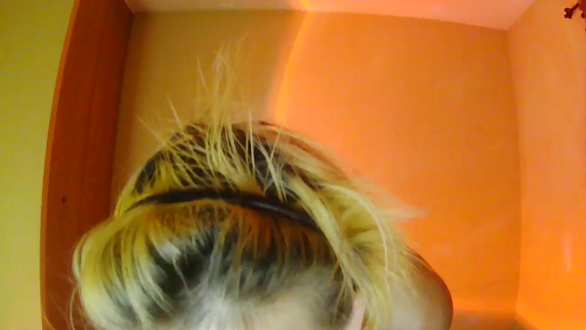 Gallery image thumbnail from Ancored's myfreecams stream on, 07/08/2025, 03:58 image 13 of 20
