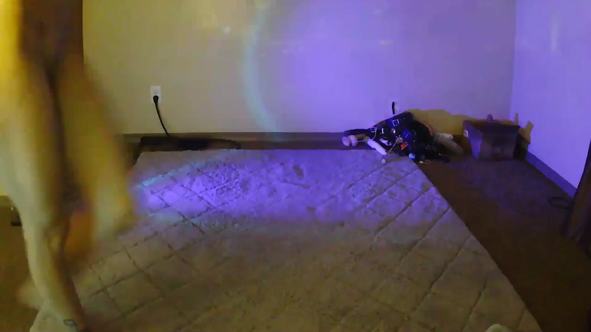 Gallery image thumbnail from Ancored's myfreecams stream on, 07/15/2025, 24:44 image 19 of 20