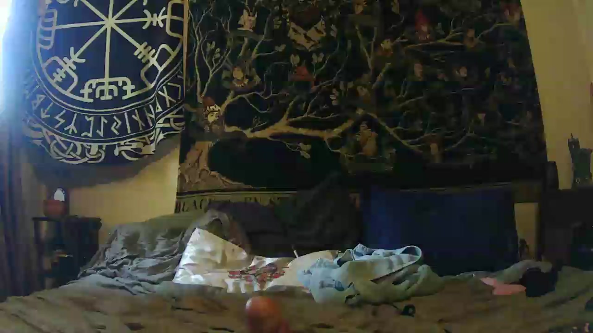 Gallery image thumbnail from Ancored's myfreecams stream on, 05/17/2026, 18:47 image 20 of 20
