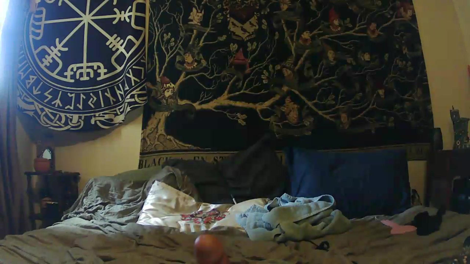 Gallery image thumbnail from Ancored's myfreecams stream on, 05/17/2026, 18:47 image 19 of 20