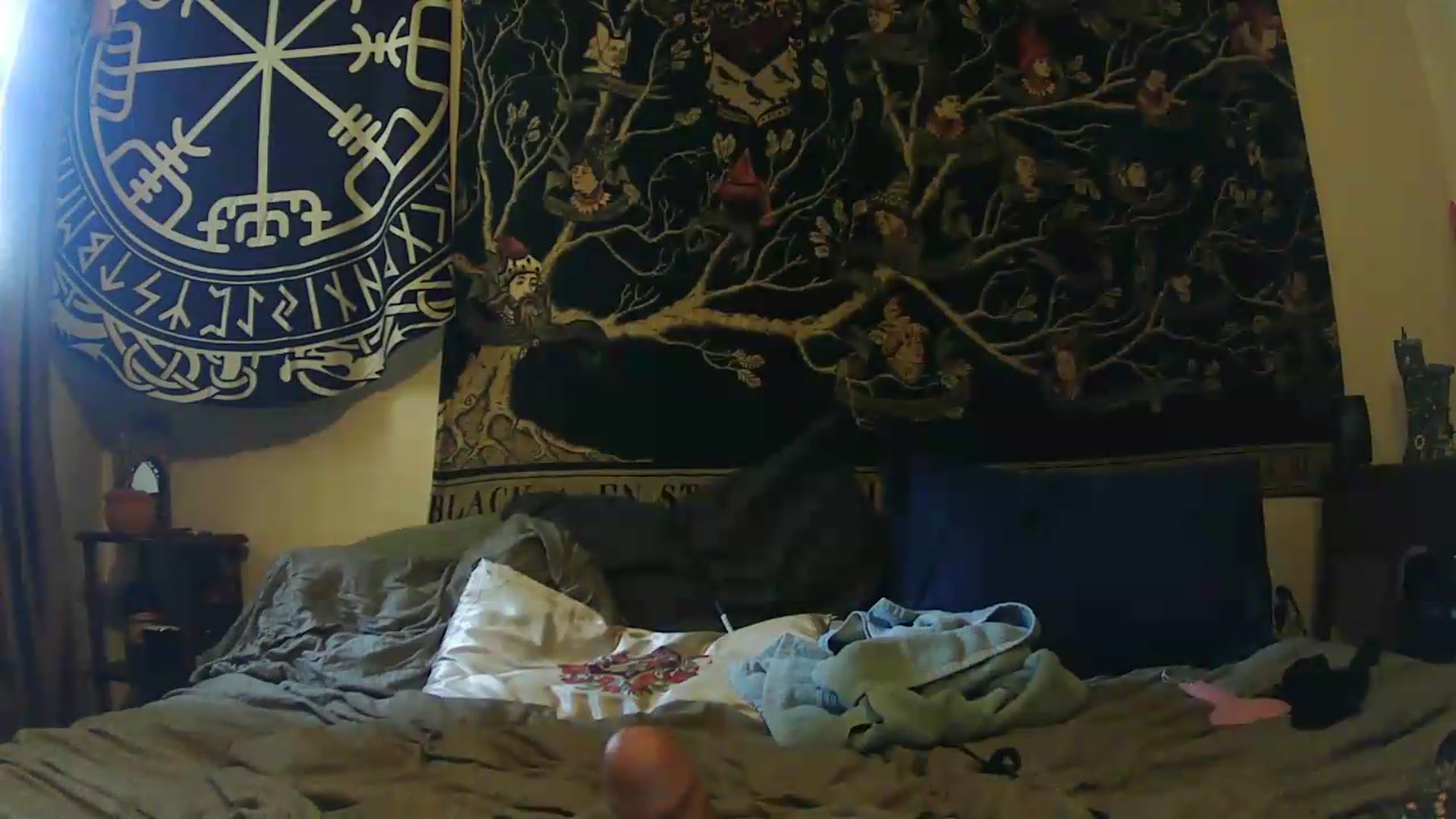Gallery image thumbnail from Ancored's myfreecams stream on, 05/17/2026, 18:47 image 18 of 20