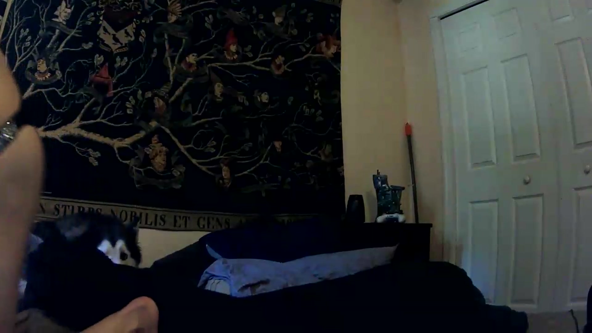 Gallery image thumbnail from Ancored's myfreecams stream on, 05/20/2026, 17:12 image 2 of 20