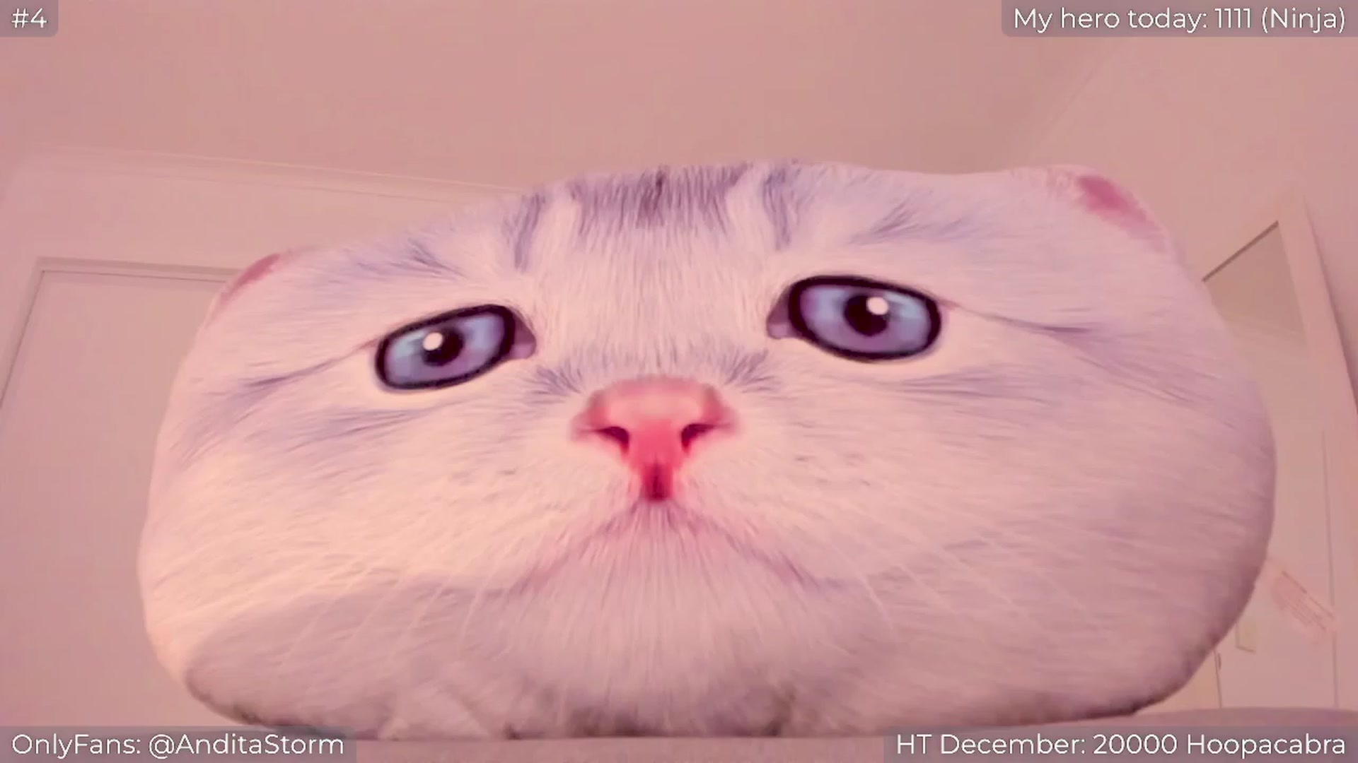 Gallery image thumbnail from AnditaStorm's myfreecams stream on, 12/27/2023, 03:01 image 7 of 20