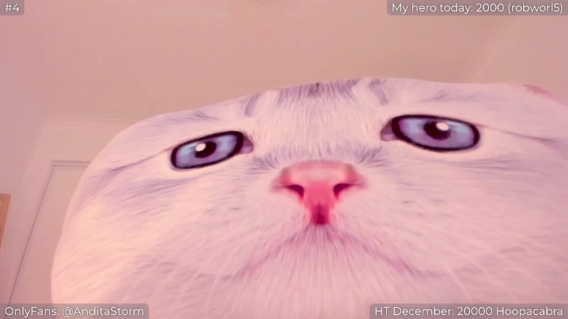 Gallery image thumbnail from AnditaStorm's myfreecams stream on, 12/28/2023, 03:10 image 9 of 20