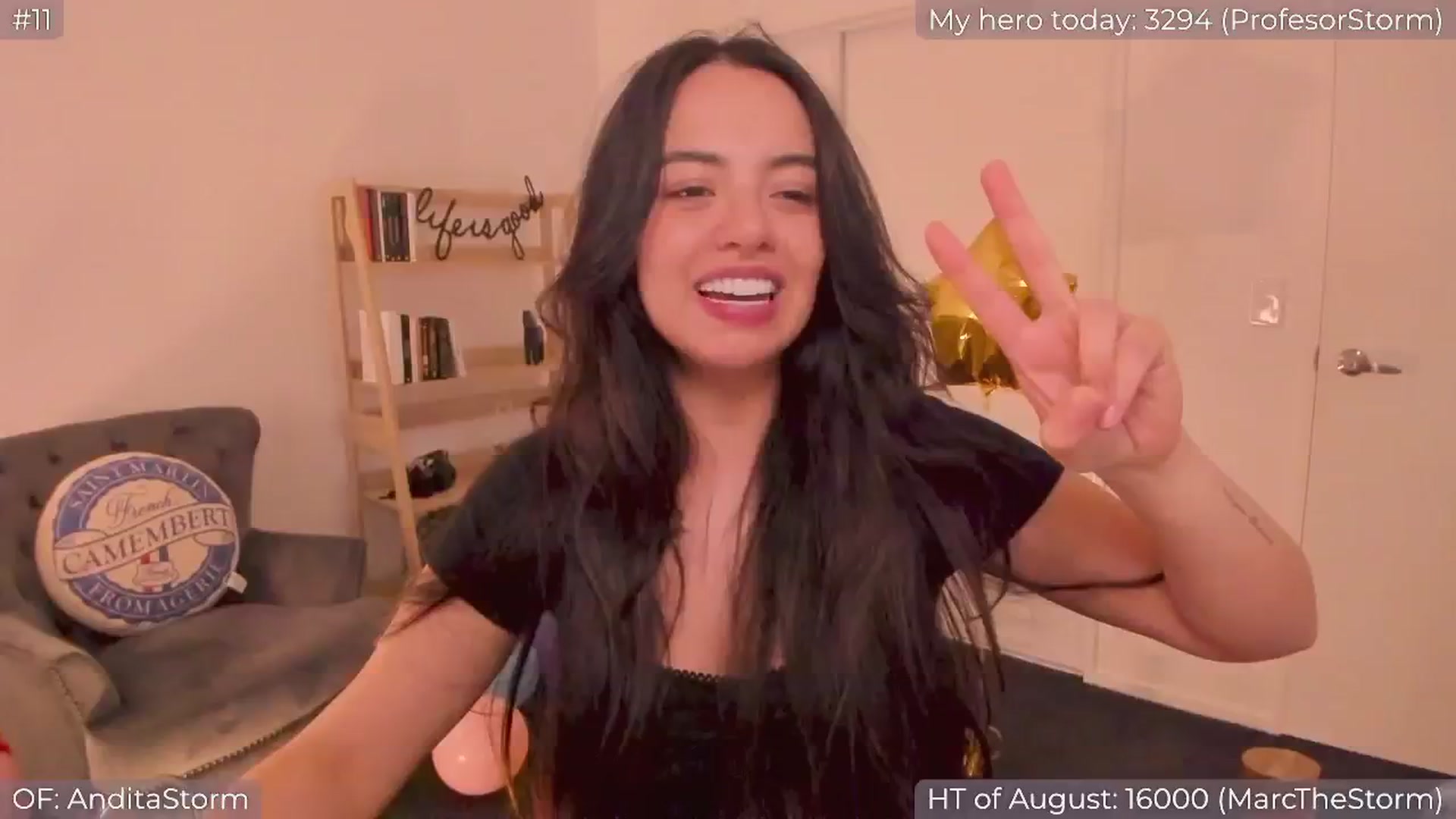 Gallery image thumbnail from AnditaStorm's myfreecams stream on, 08/22/2024, 06:10 image 20 of 20