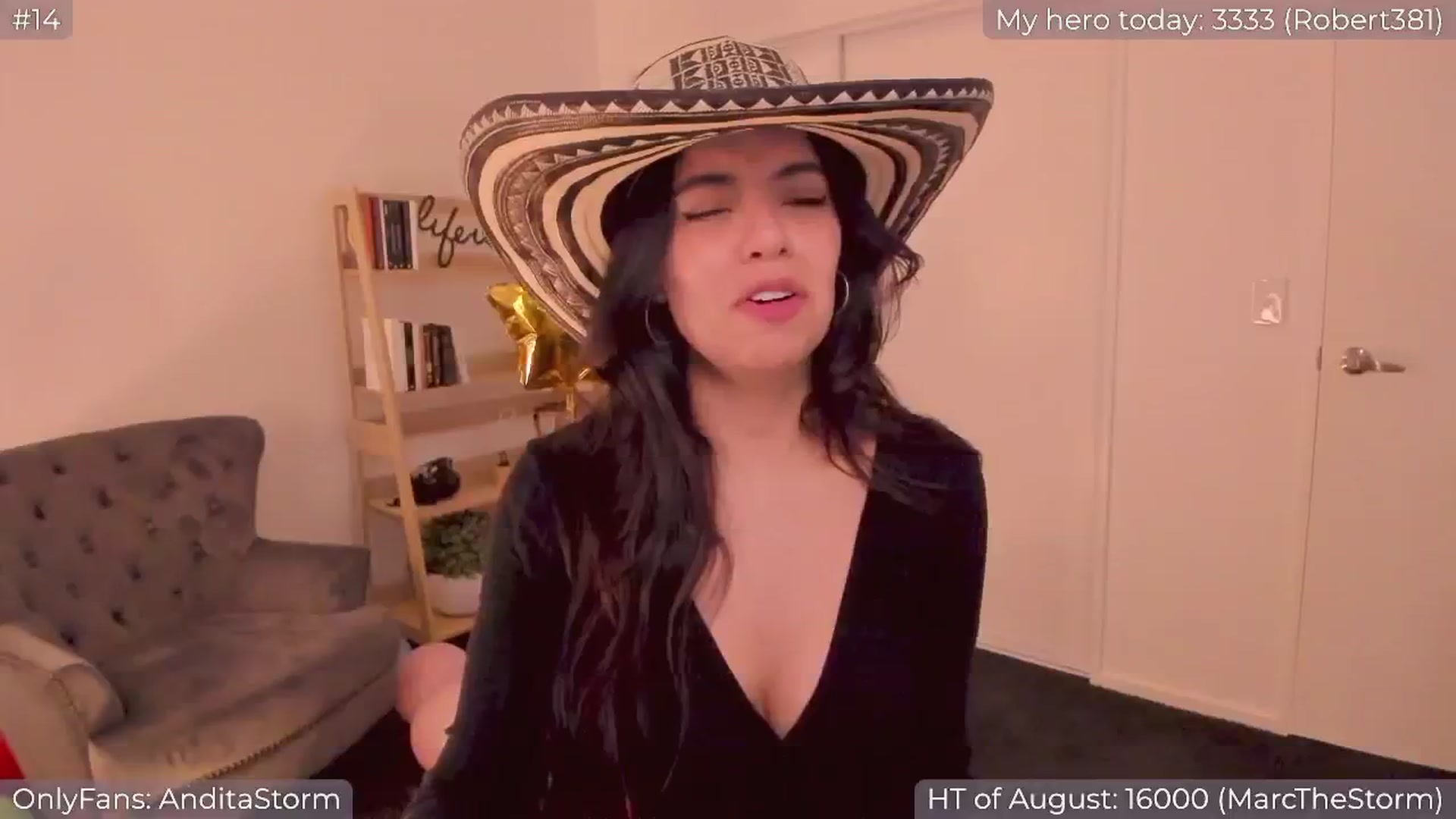 Gallery image thumbnail from AnditaStorm's myfreecams stream on, 08/27/2024, 05:09 image 14 of 20