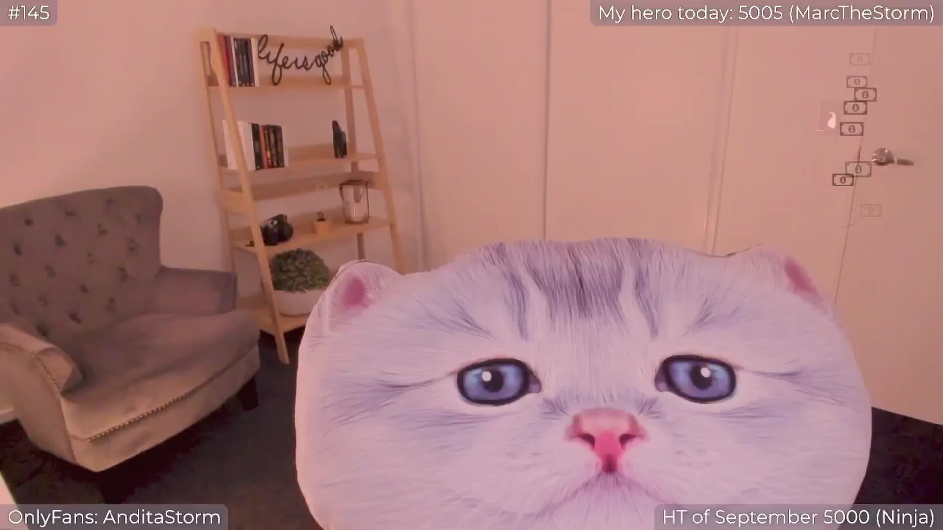 Gallery image thumbnail from AnditaStorm's myfreecams stream on, 09/18/2024, 06:22 image 11 of 20