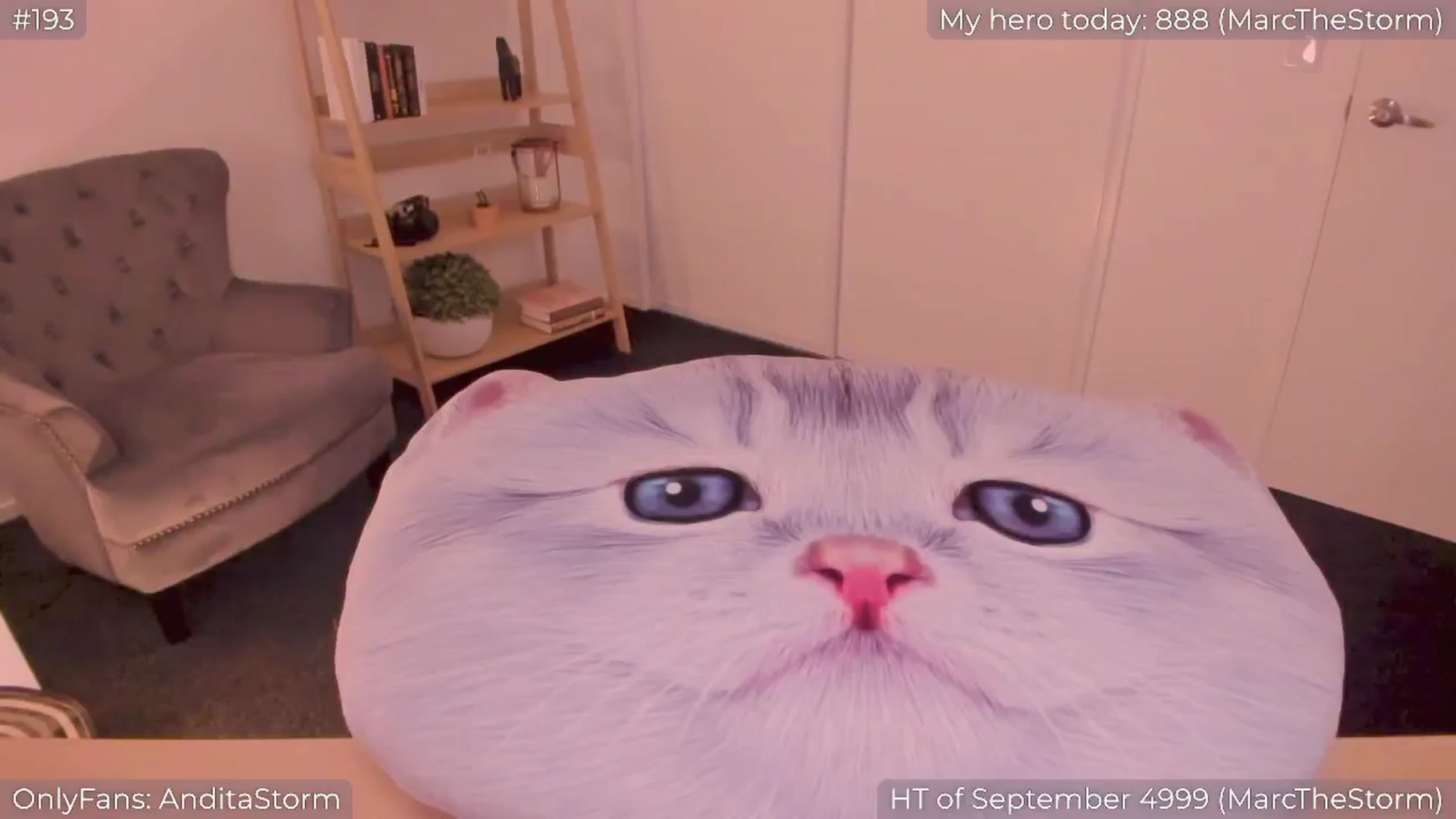 Gallery image thumbnail from AnditaStorm's myfreecams stream on, 09/18/2024, 06:22 image 7 of 20