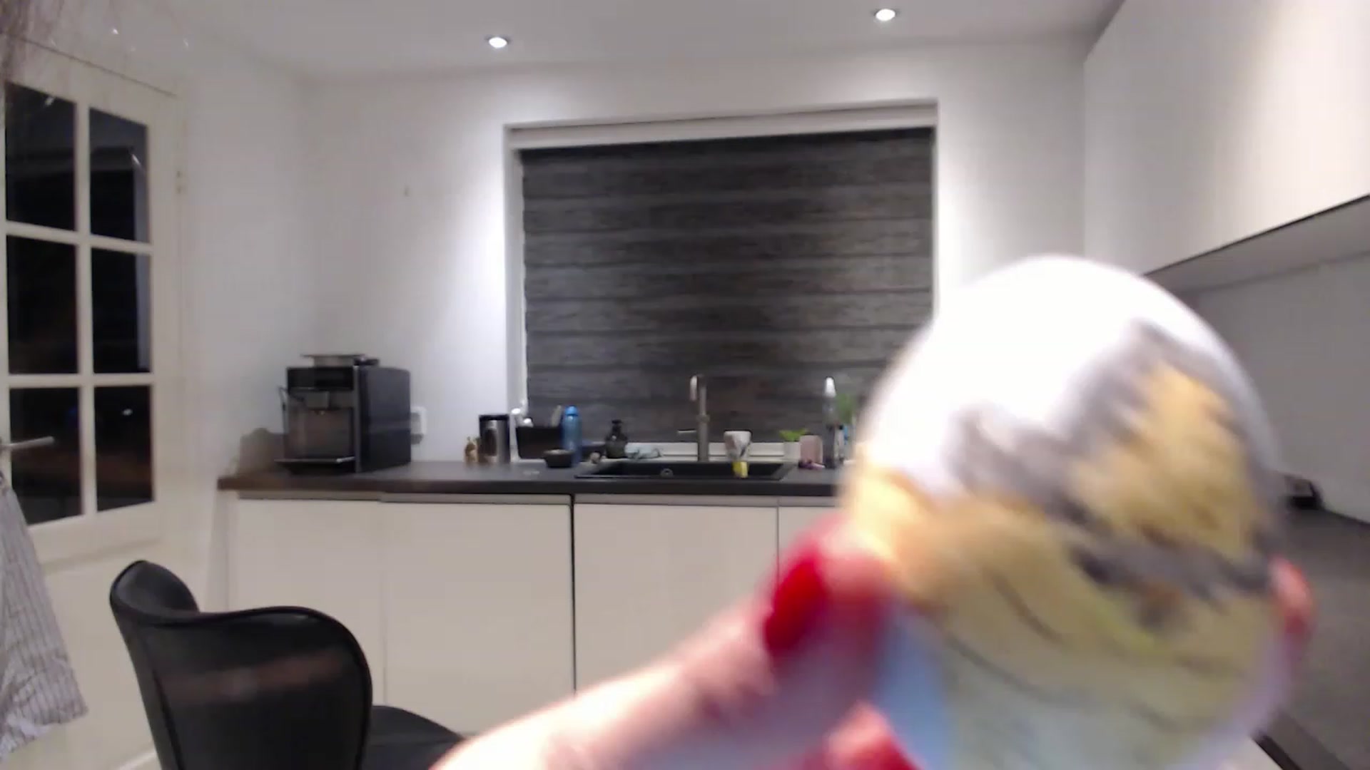 Gallery image thumbnail from Anelly's myfreecams stream on, 04/16/2023, 01:23 image 19 of 20