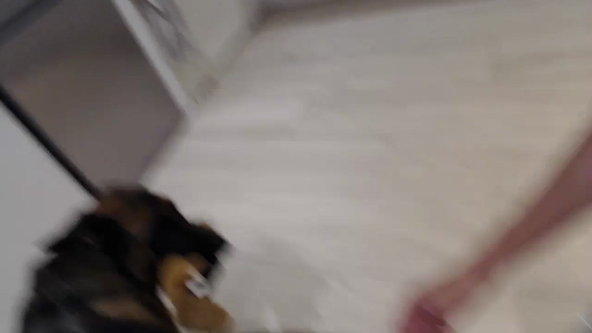 Gallery image thumbnail from Anelly's myfreecams stream on, 08/27/2023, 01:59 image 3 of 20