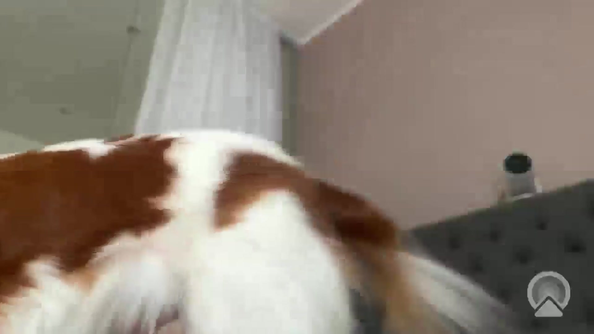 Gallery image thumbnail from AnettiRosseee's myfreecams stream on, 05/02/2026, 10:19 image 2 of 20