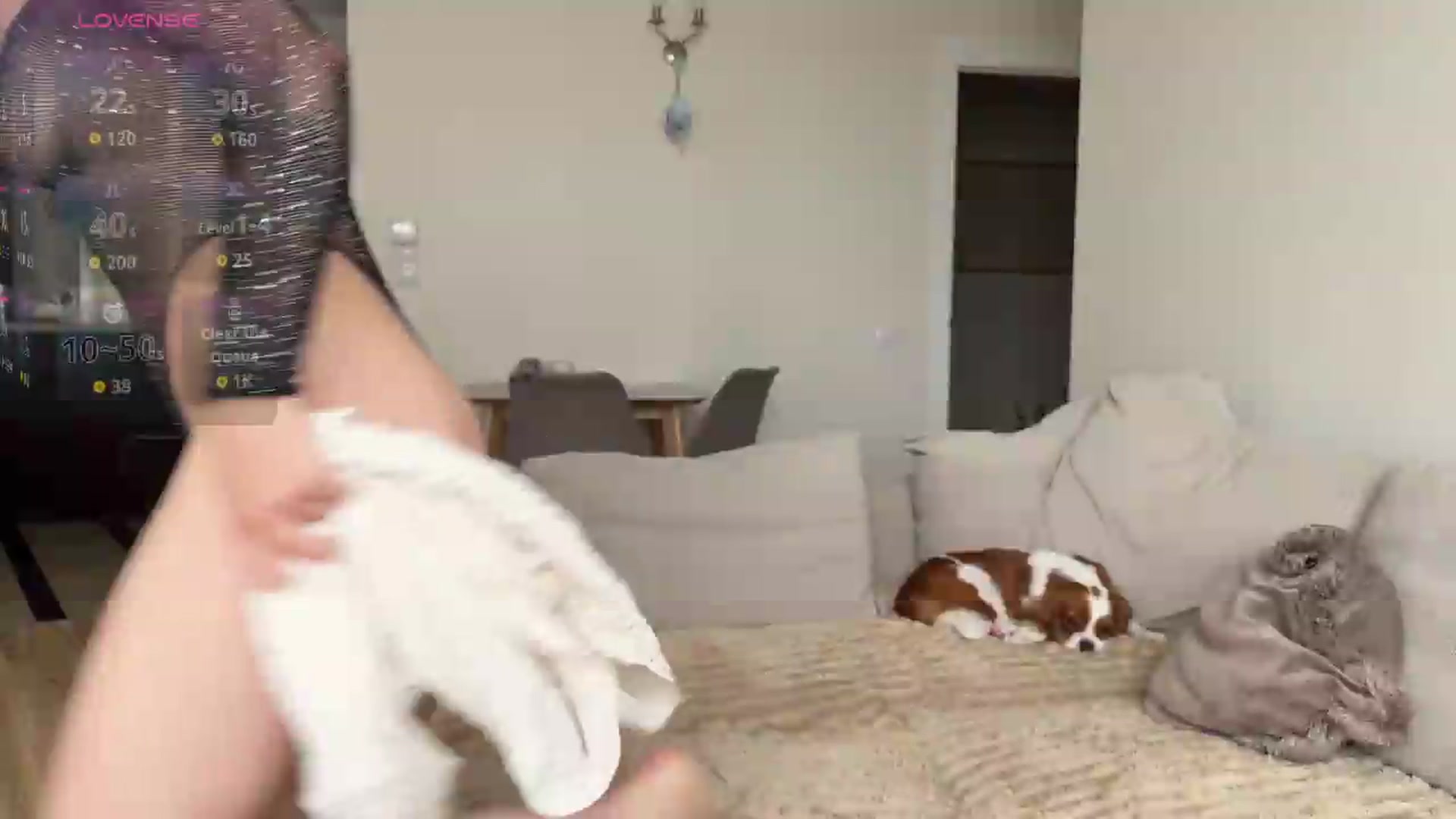Gallery image thumbnail from AnettiRosseee's myfreecams stream on, 09/02/2026, 13:02 image 8 of 20