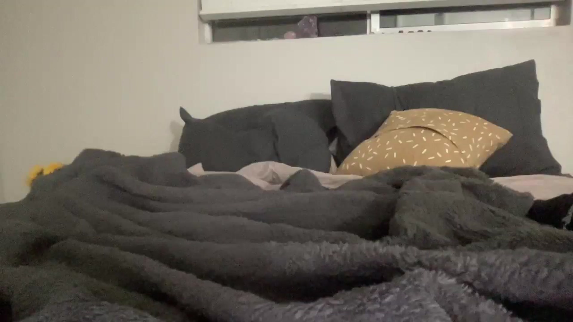 Gallery image thumbnail from Angel999's myfreecams stream on, 12/23/2023, 04:51 image 5 of 20