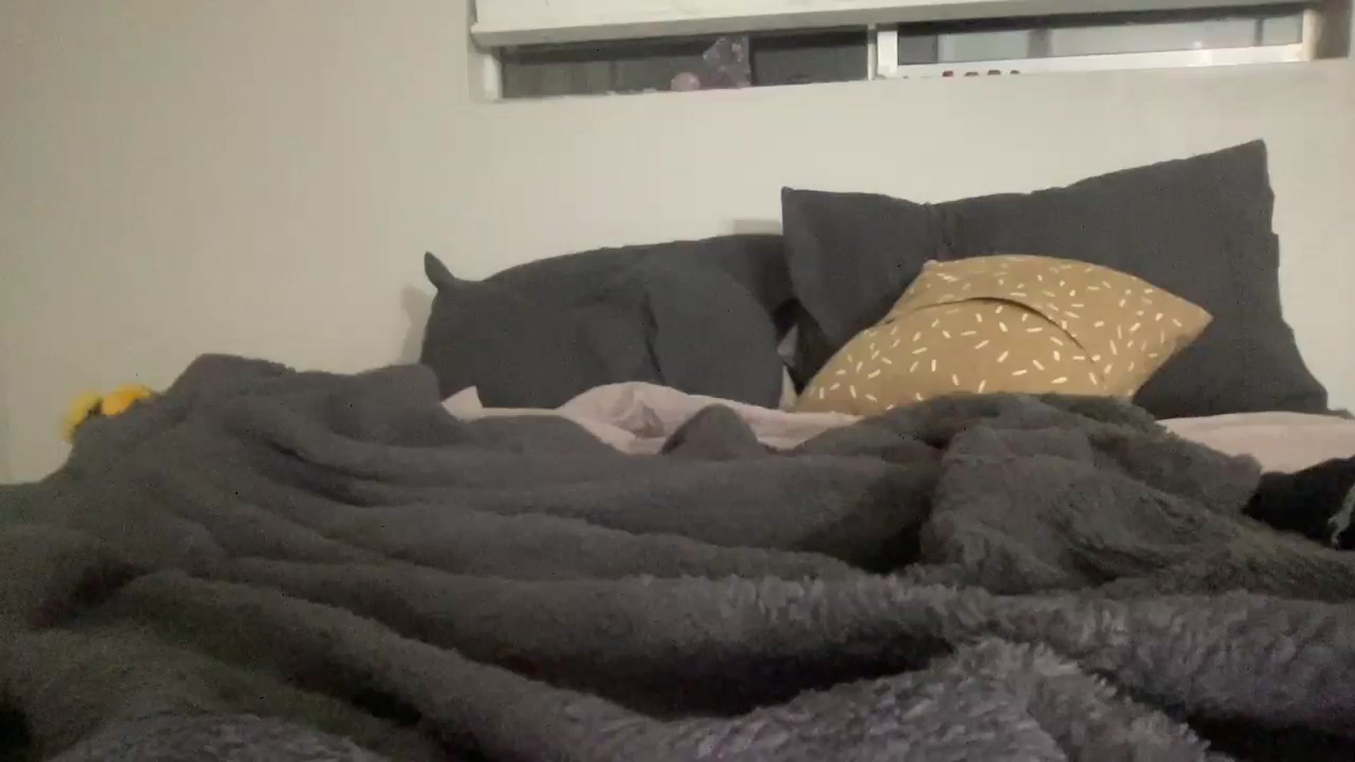 Gallery image thumbnail from Angel999's myfreecams stream on, 12/23/2023, 04:51 image 3 of 20