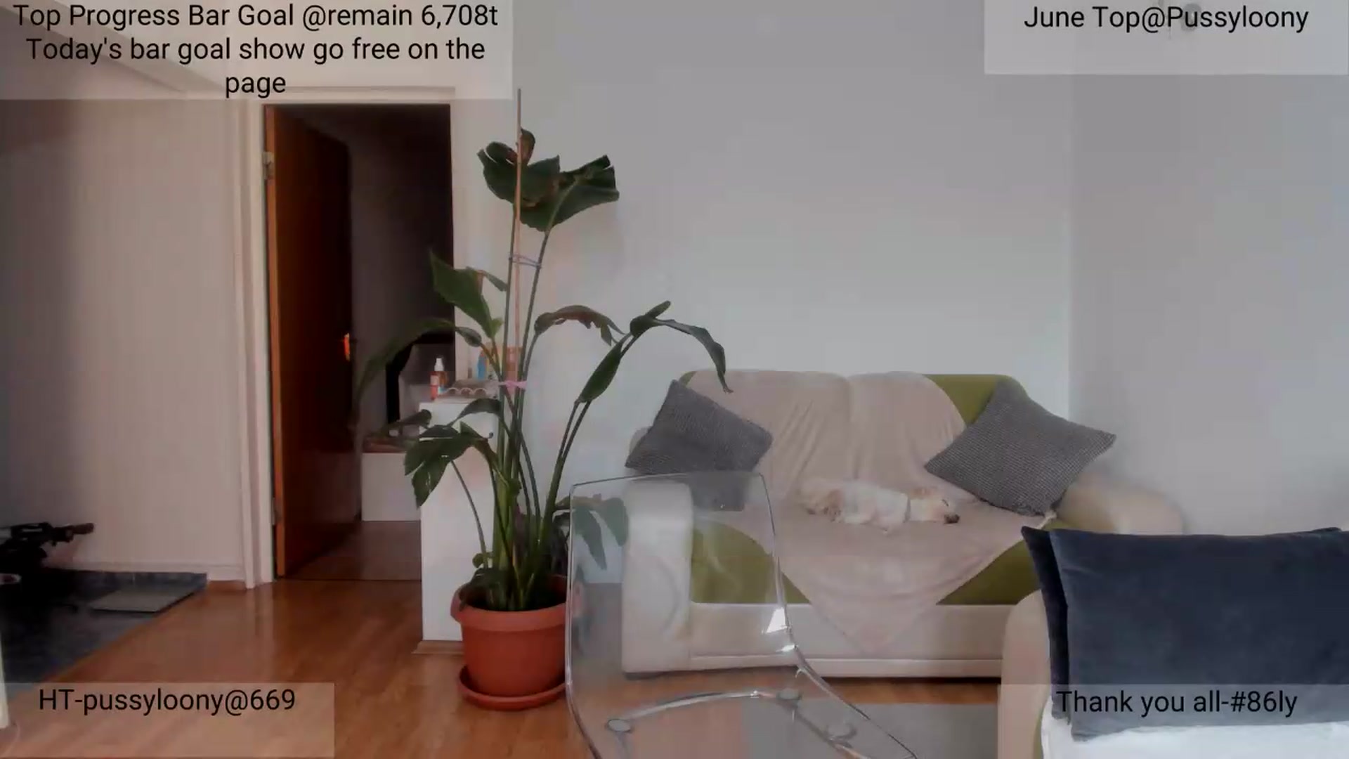 Gallery image thumbnail from AngelBaby__'s myfreecams stream on, 06/20/2026, 17:06 image 16 of 20