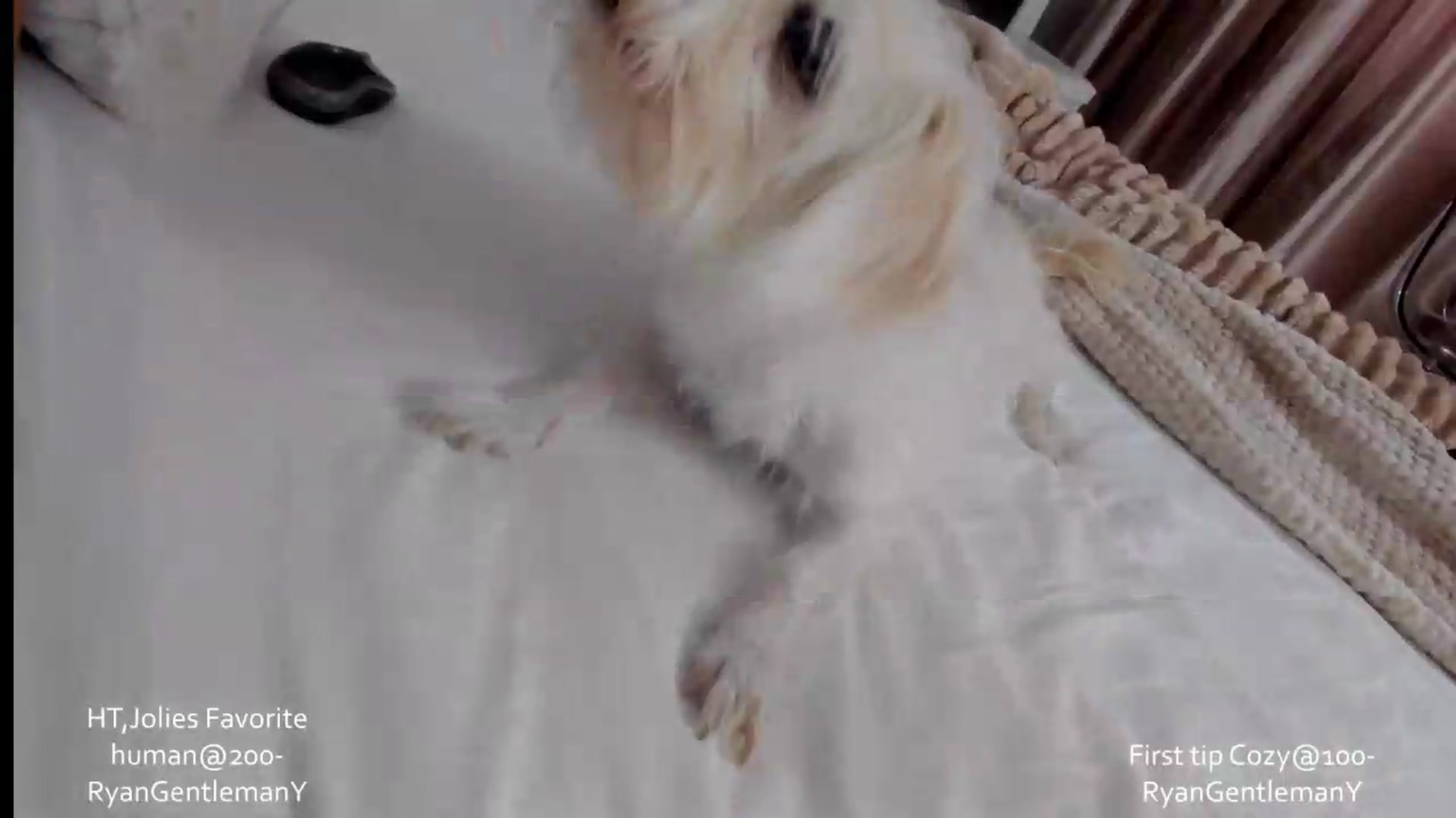 Gallery image thumbnail from AngelBaby__'s myfreecams stream on, 09/07/2026, 16:58 image 5 of 20
