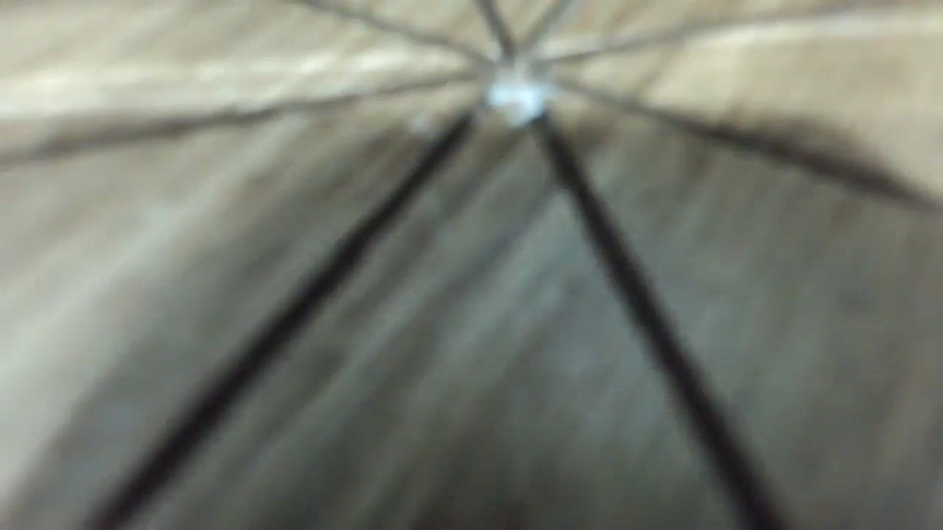 Gallery image thumbnail from AngelLips321's myfreecams stream on, 05/27/2024, 01:49 image 9 of 20