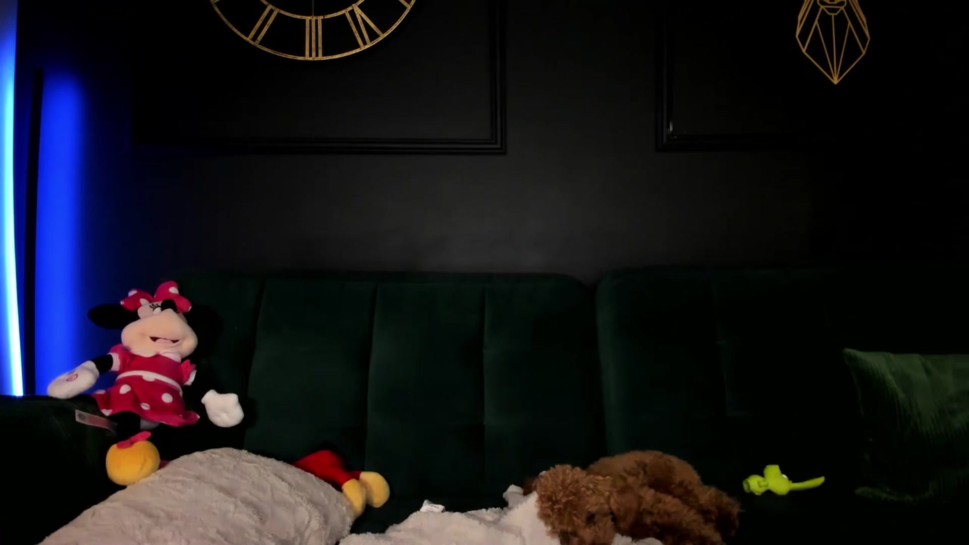 Gallery image thumbnail from AngelLove__'s myfreecams stream on, 05/04/2024, 01:55 image 12 of 20
