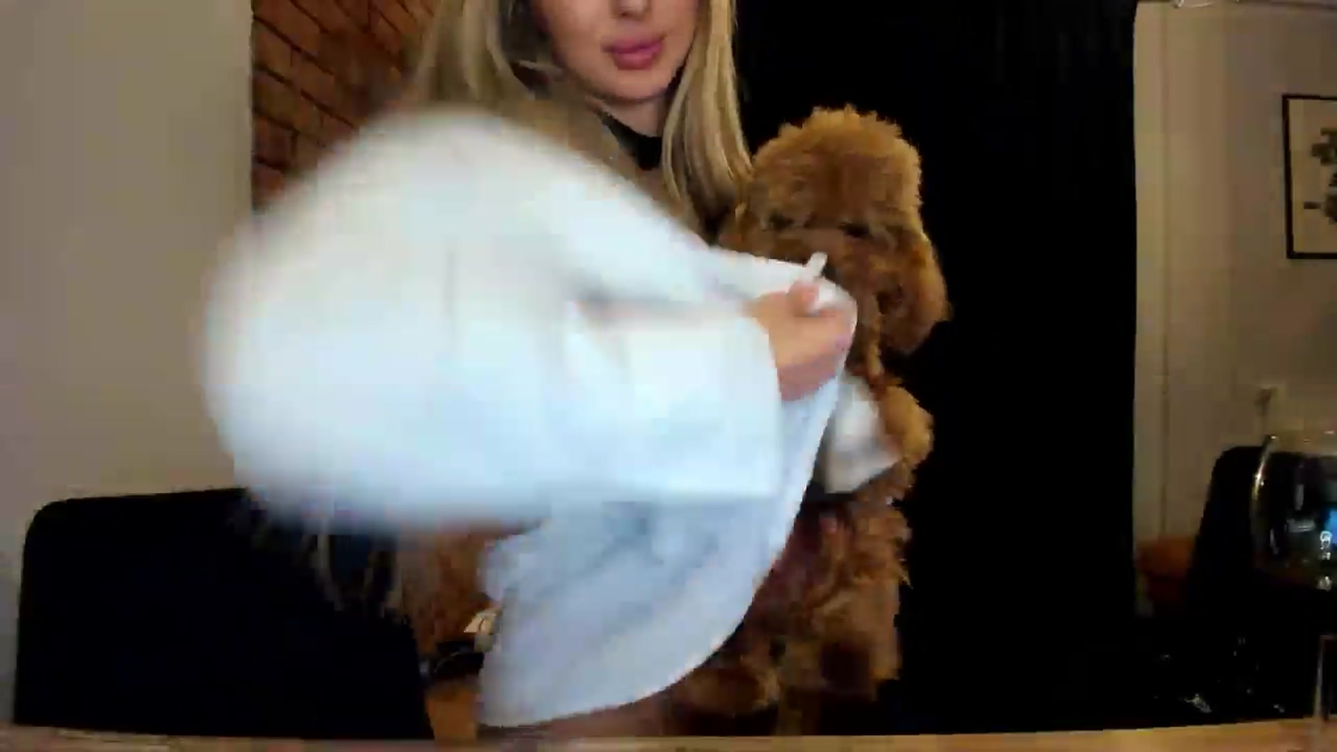 Gallery image thumbnail from AngelLove__'s myfreecams stream on, 05/26/2024, 01:40 image 12 of 20