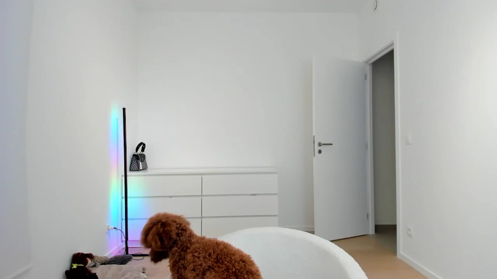 Gallery image thumbnail from AngelLove__'s myfreecams stream on, 10/14/2024, 23:06 image 17 of 20
