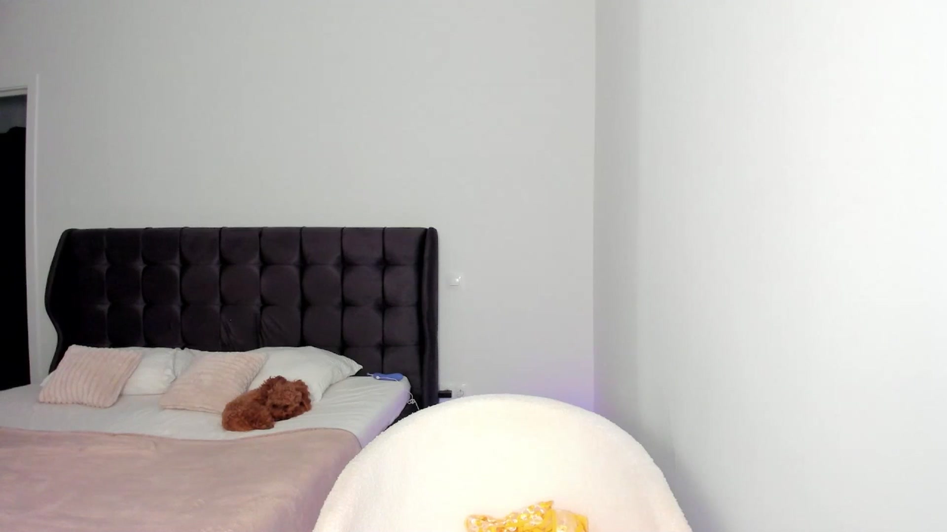 Gallery image thumbnail from AngelLove__'s myfreecams stream on, 08/02/2025, 24:56 image 14 of 20
