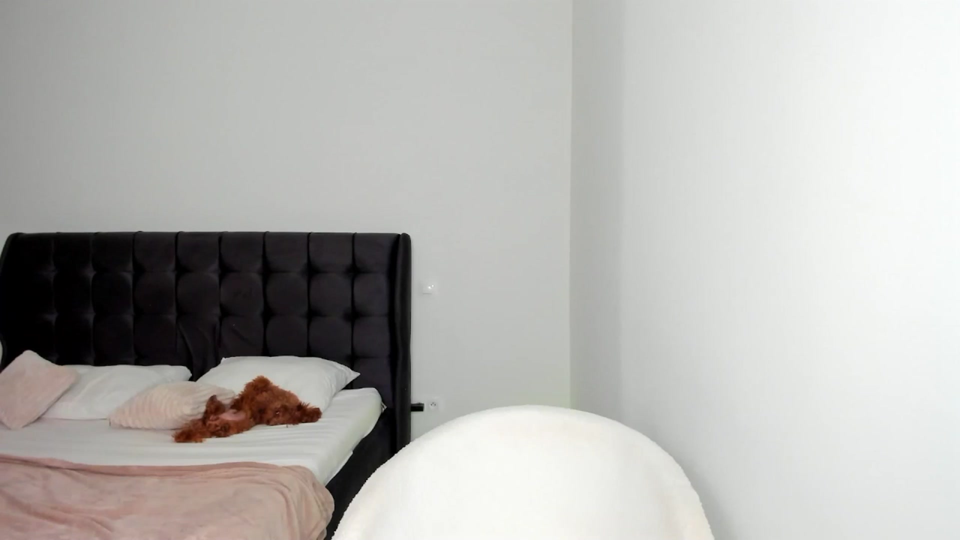 Gallery image thumbnail from AngelLove__'s myfreecams stream on, 08/05/2025, 01:12 image 12 of 20