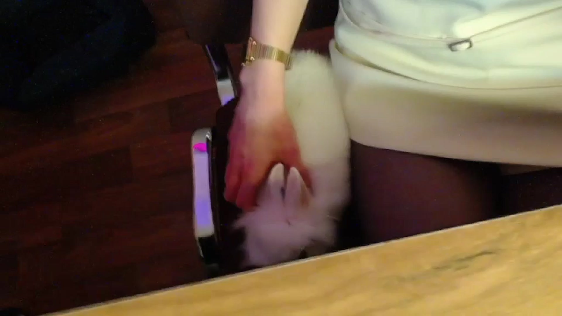 Gallery image thumbnail from Angel_baby's myfreecams stream on, 03/08/2026, 18:46 image 1 of 20
