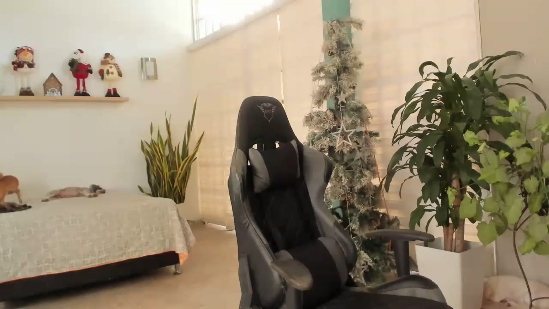 Gallery image thumbnail from AngelaMar's myfreecams stream on, 01/07/2023, 17:30 image 11 of 20