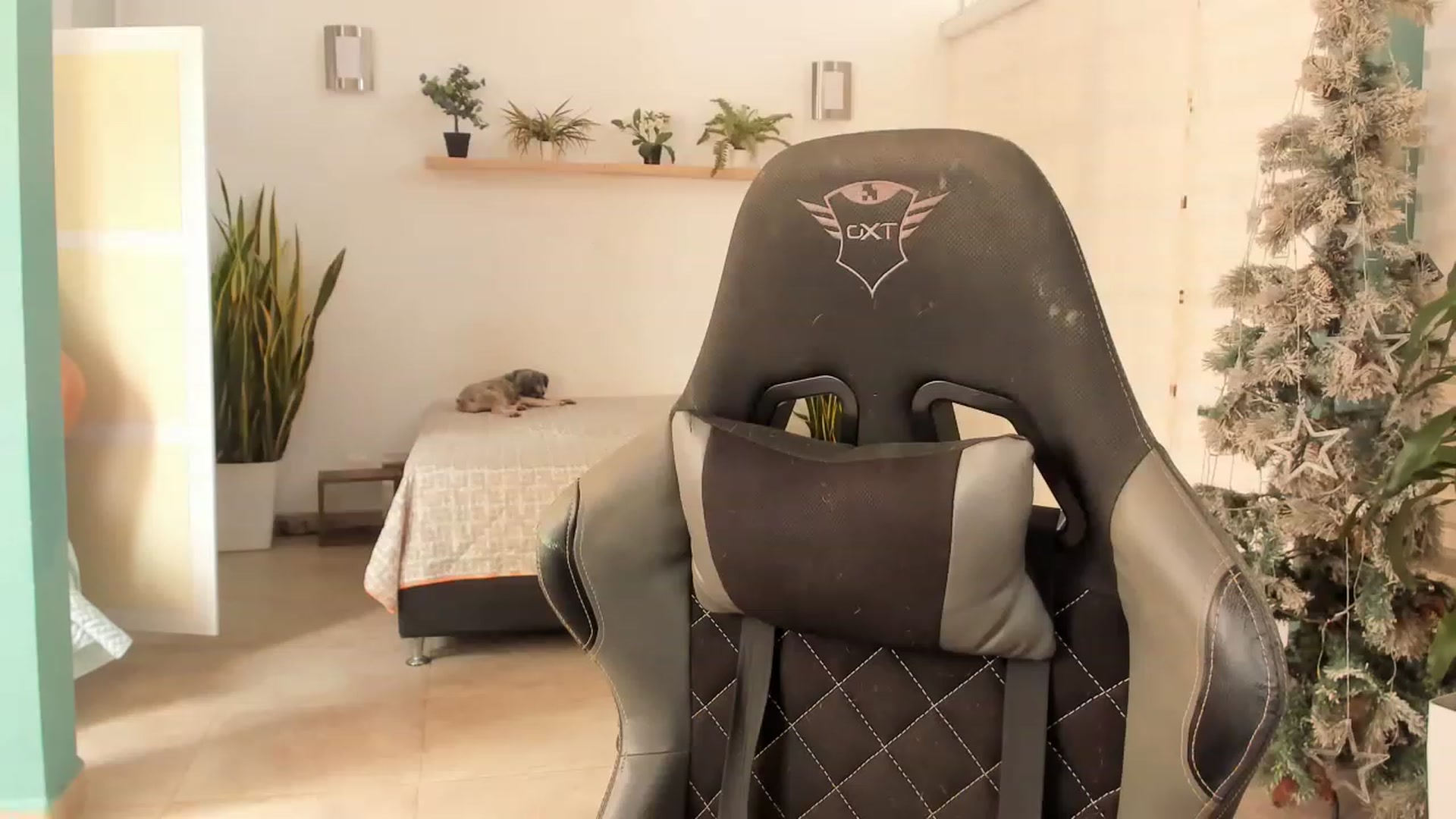 Gallery image thumbnail from AngelaMar's myfreecams stream on, 01/18/2023, 18:06 image 19 of 20