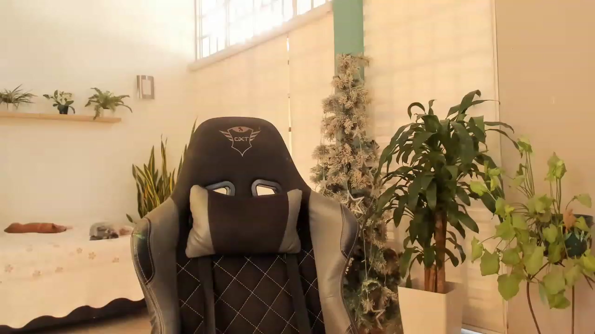 Gallery image thumbnail from AngelaMar's myfreecams stream on, 01/28/2023, 15:52 image 14 of 20