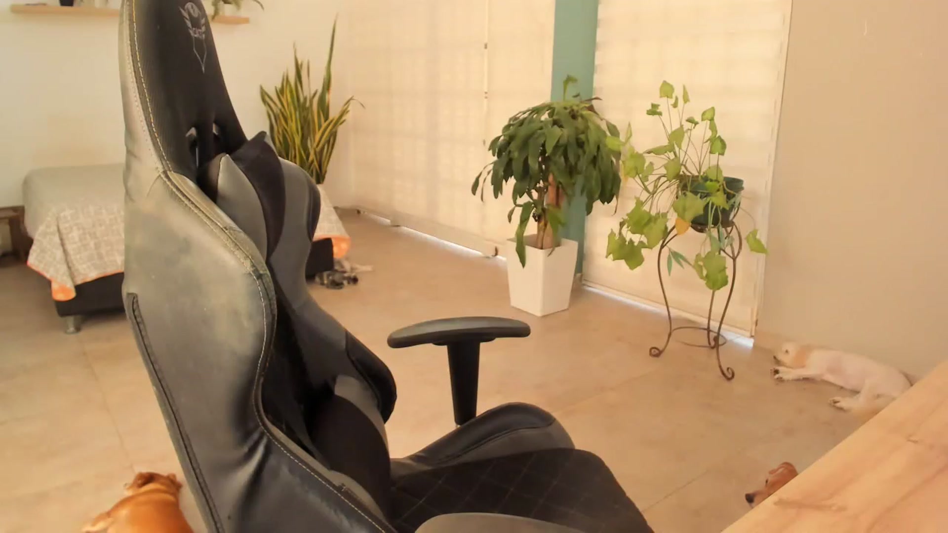 Gallery image thumbnail from AngelaMar's myfreecams stream on, 03/22/2023, 18:02 image 20 of 20