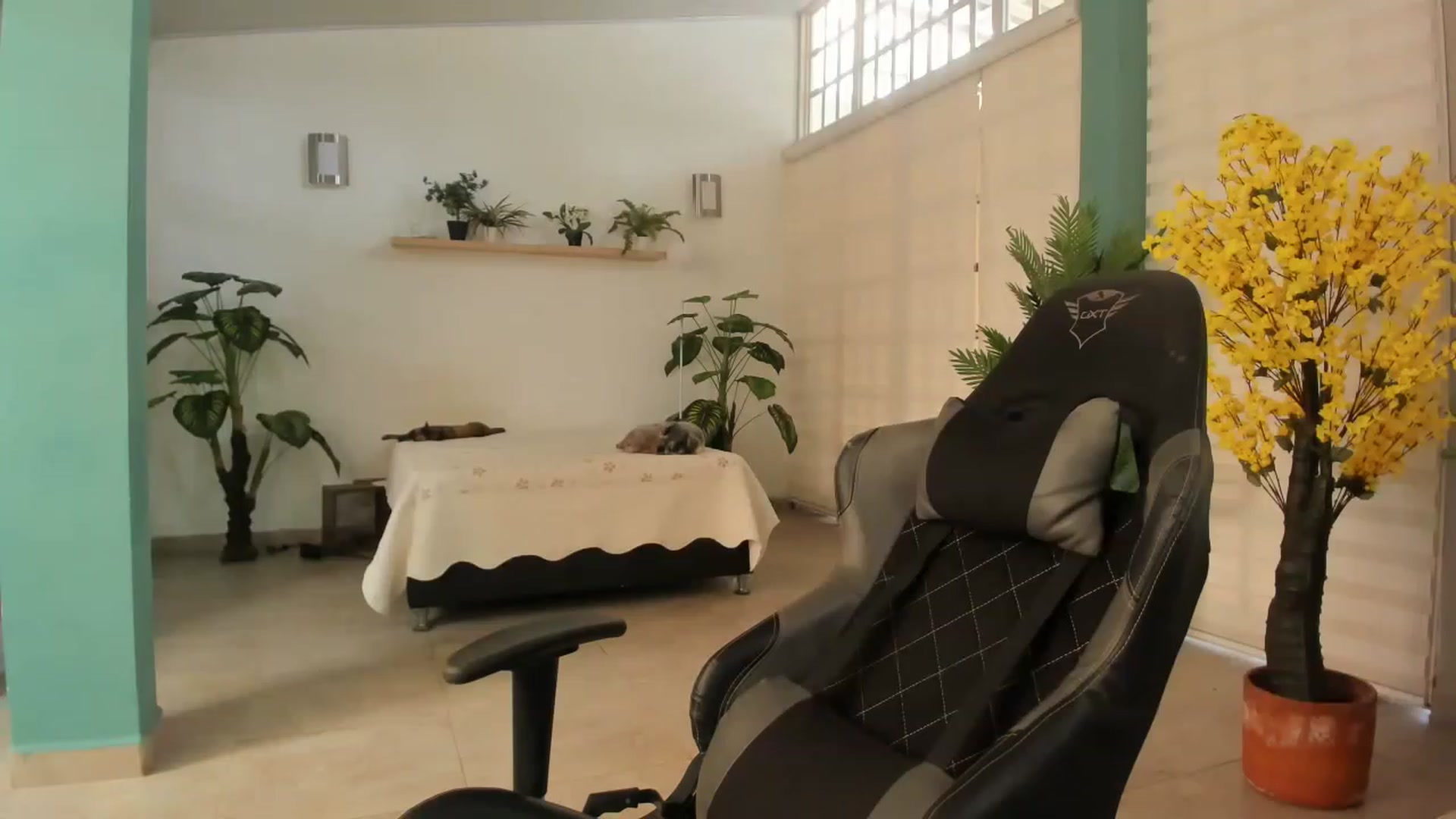 Gallery image thumbnail from AngelaMar's myfreecams stream on, 04/28/2023, 16:03 image 19 of 20